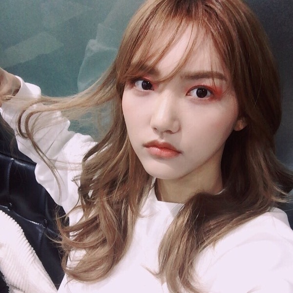 정채율