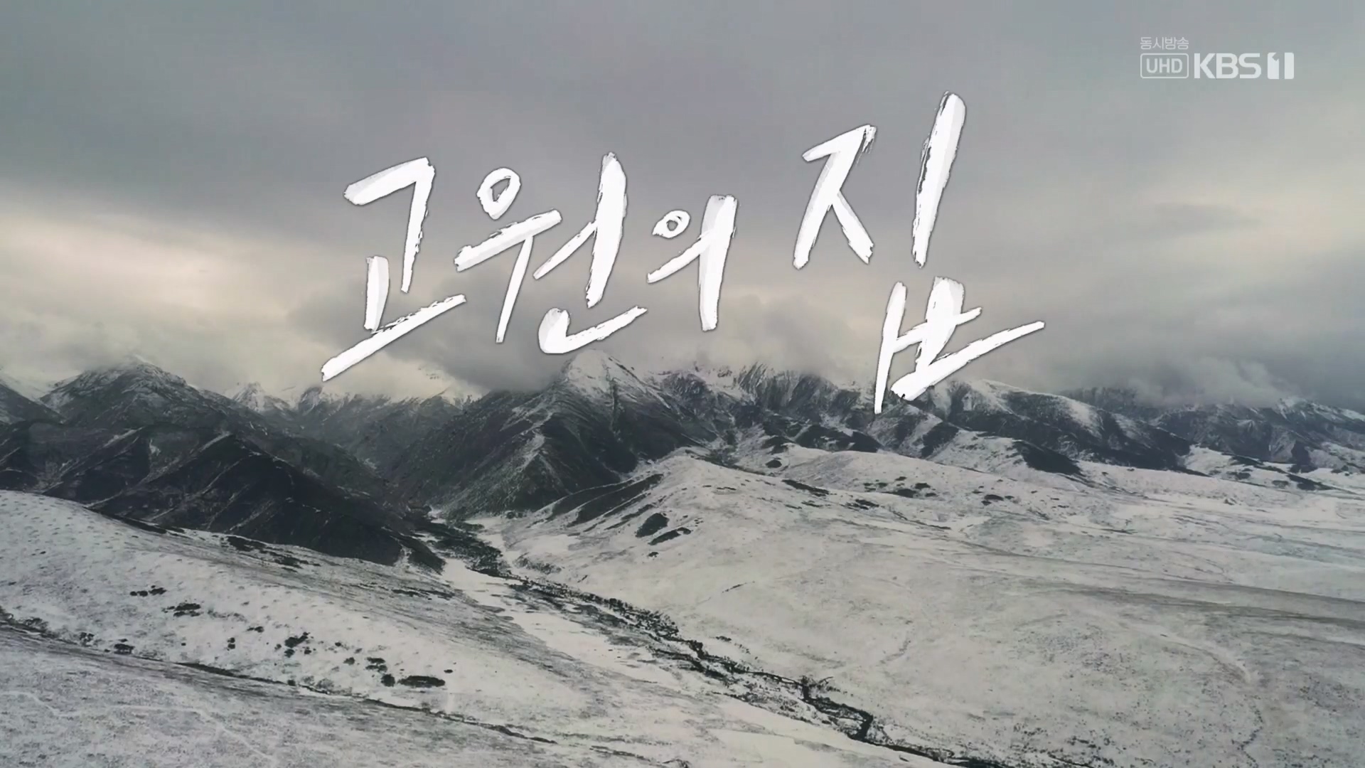 다큐 인사이트.E176.240328p.H264-F1RST.mp4_20240330_160602.291.jpg