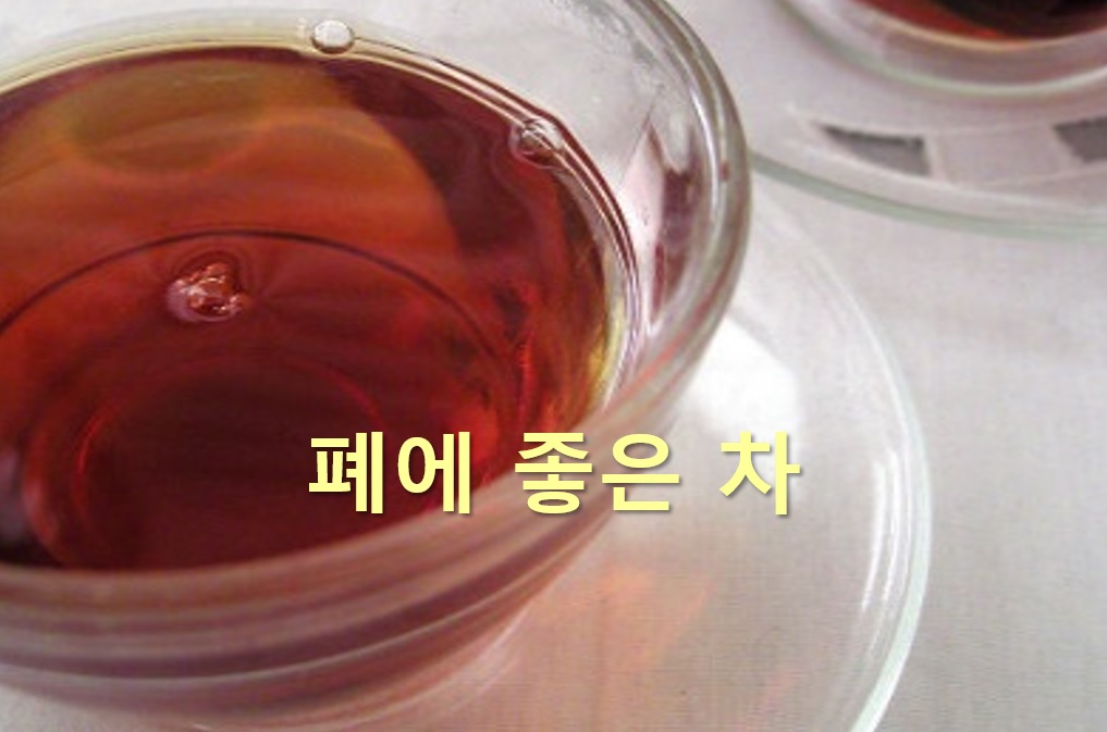  폐렴에 좋은 차와 폐렴에 좋은 약초