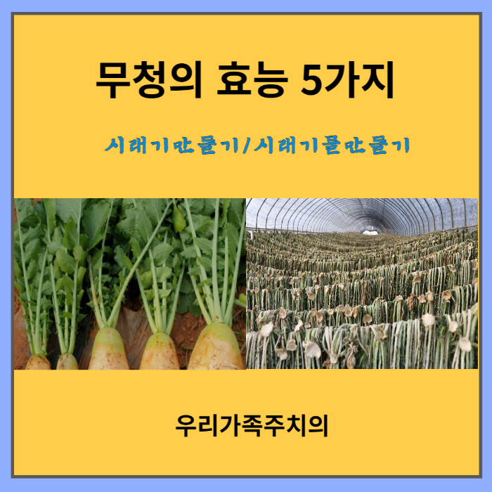 무청의-효능-5가지