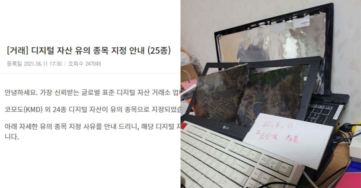  유의종목 지정 후 떡락하자 또 난리난 비트코인 갤러리