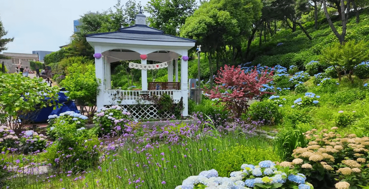 울산 장생포 수국축제 주차장 입장료 행사일정