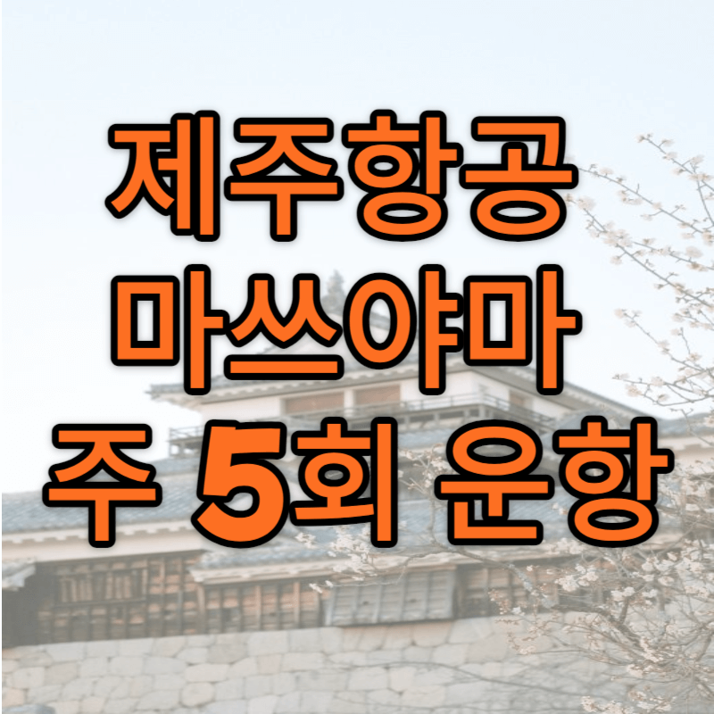 제주항공 마쓰야마 주5회운항 썸네일