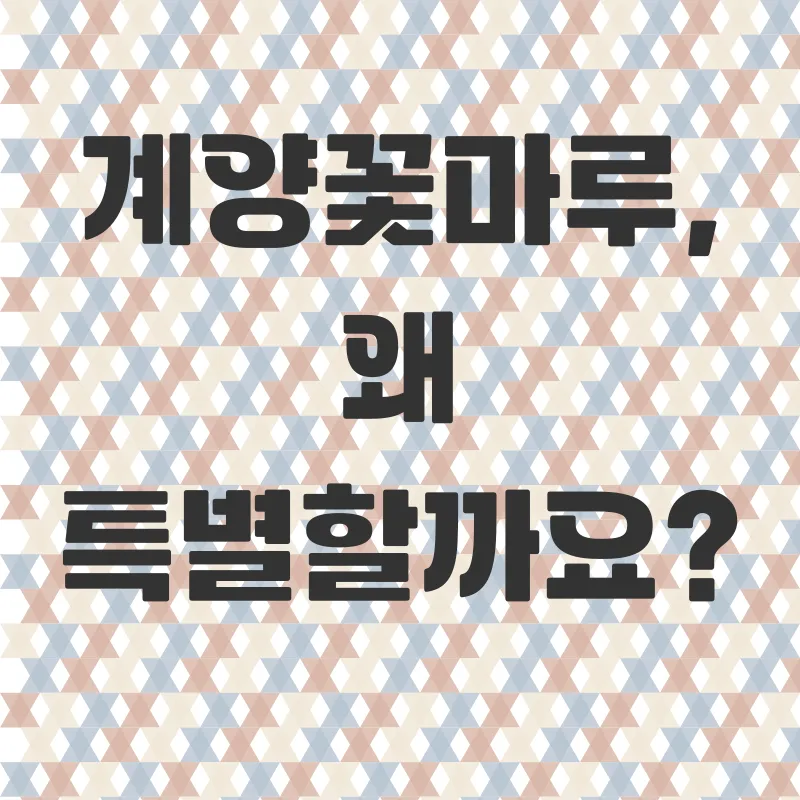 계양꽃마루 가을 코스모스_3