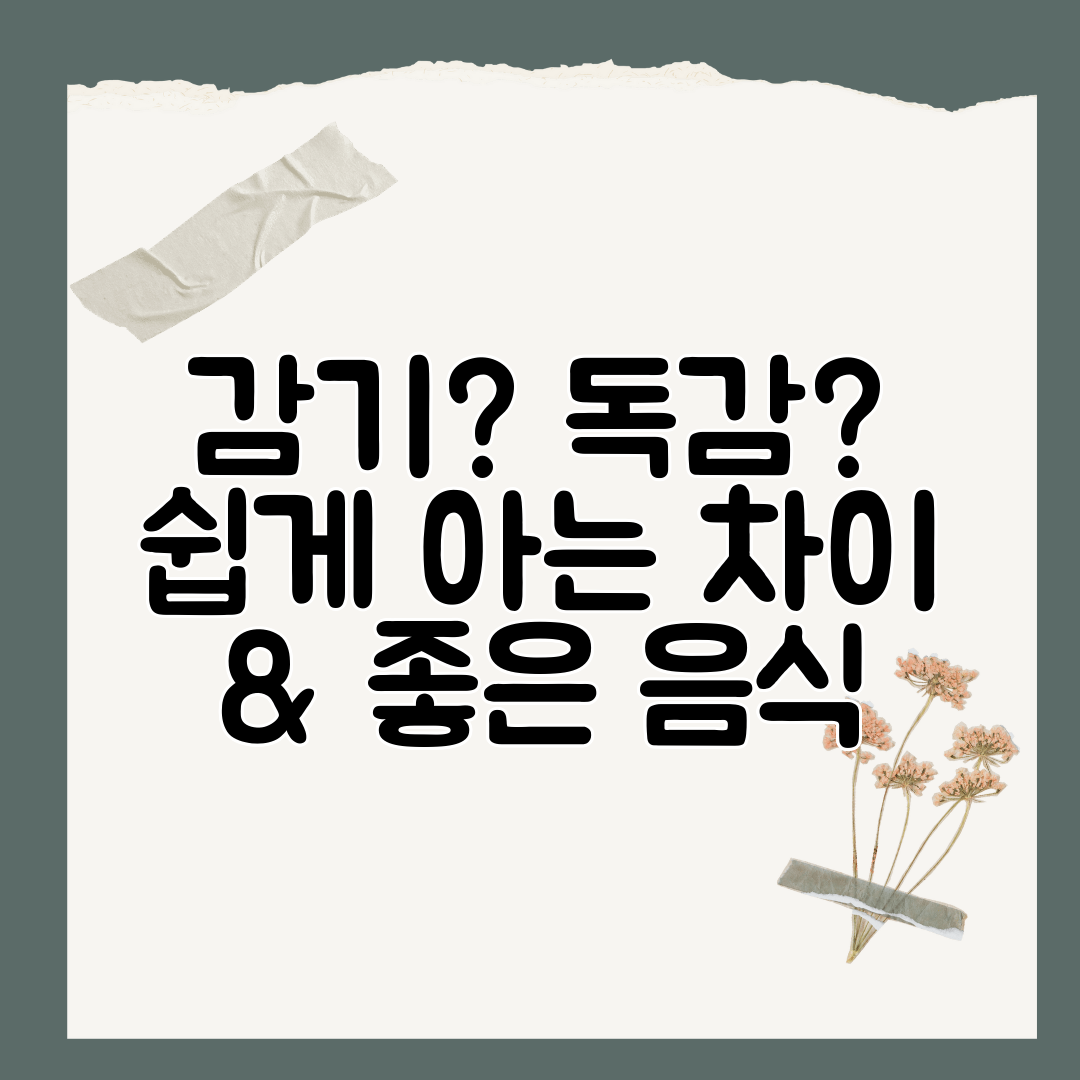 감기 독감 쉽게 아는 차이 &amp; 좋은 음식