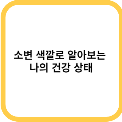 소변 색깔로 알아보는 나의 건강 상태