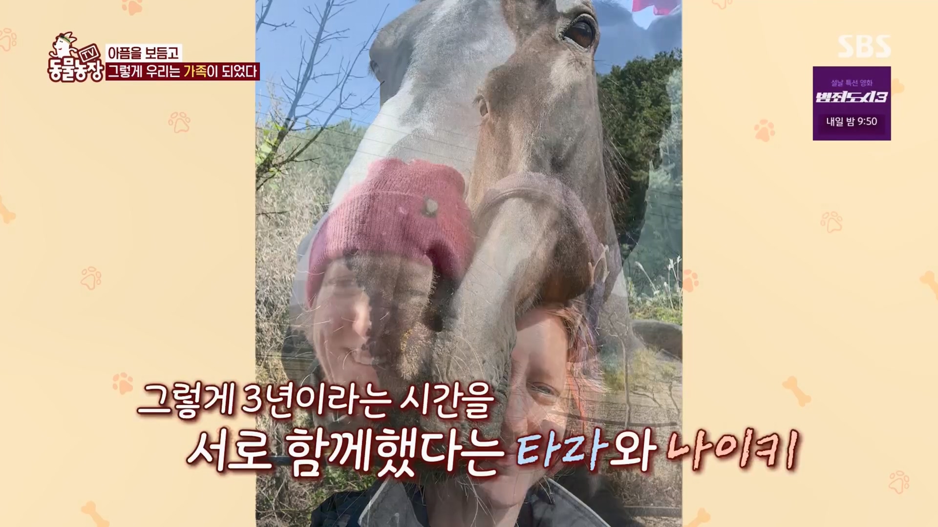 TV 동물농장.E1158.240211p.H264-F1RST.mp4_20240211_194056.885.jpg