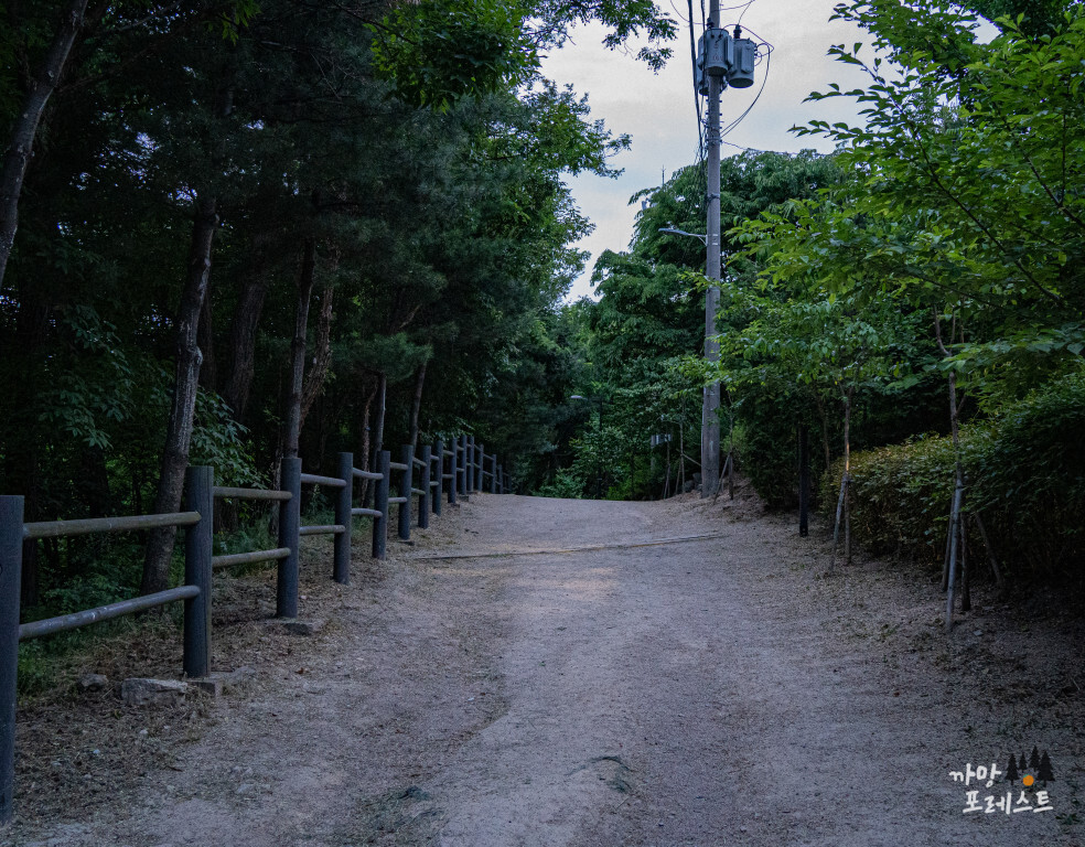 매봉산 공원 오르막길