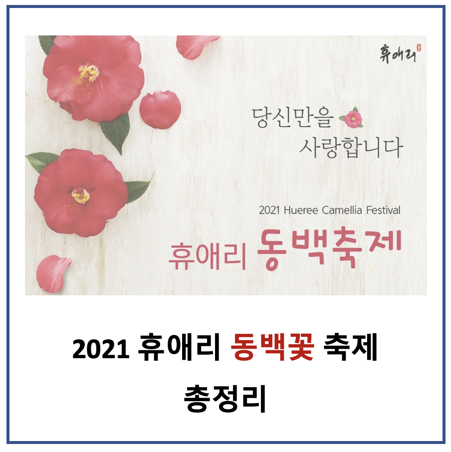 휴애리 동백 축제 섬네일