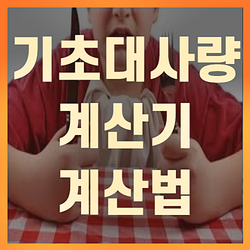  기초대사량 계산법 계산기(+꼼꼼정리)