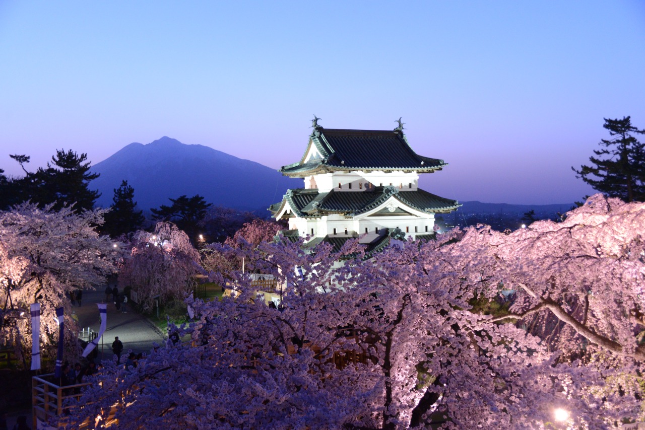 일본 히로사키 성 벚꽃