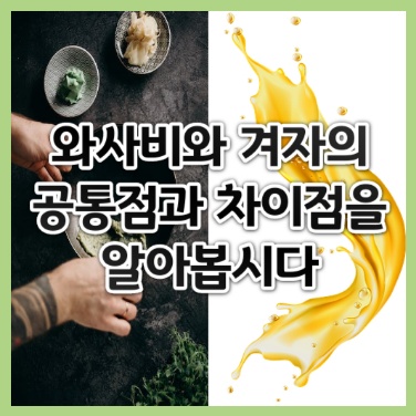 와사비와 겨자, 둘의 공통점과 차이점