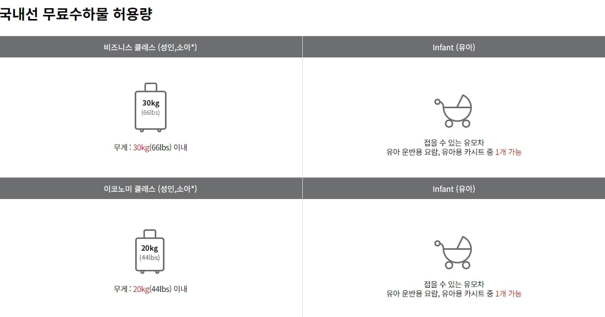 국내선 수하물 안내