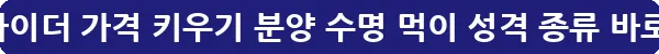 슈가글라이더 가격 키우기 분양 수명 먹이 성격 종류_13