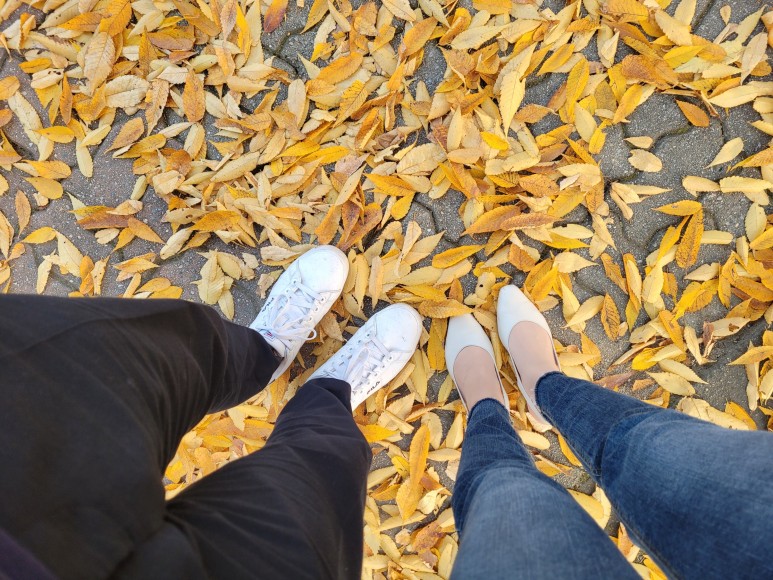 외대 글로벌캠퍼스 한국외대 6