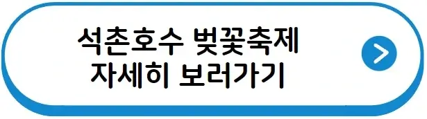 석촌호수 벚꽃축제 보러가기