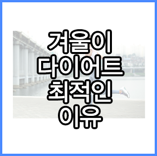  겨울 다이어트가 효과적인 3가지 이유