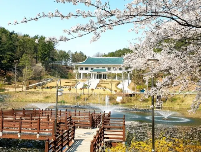  충북 청주 관광 여행지 추천 Best 5 완벽 정리