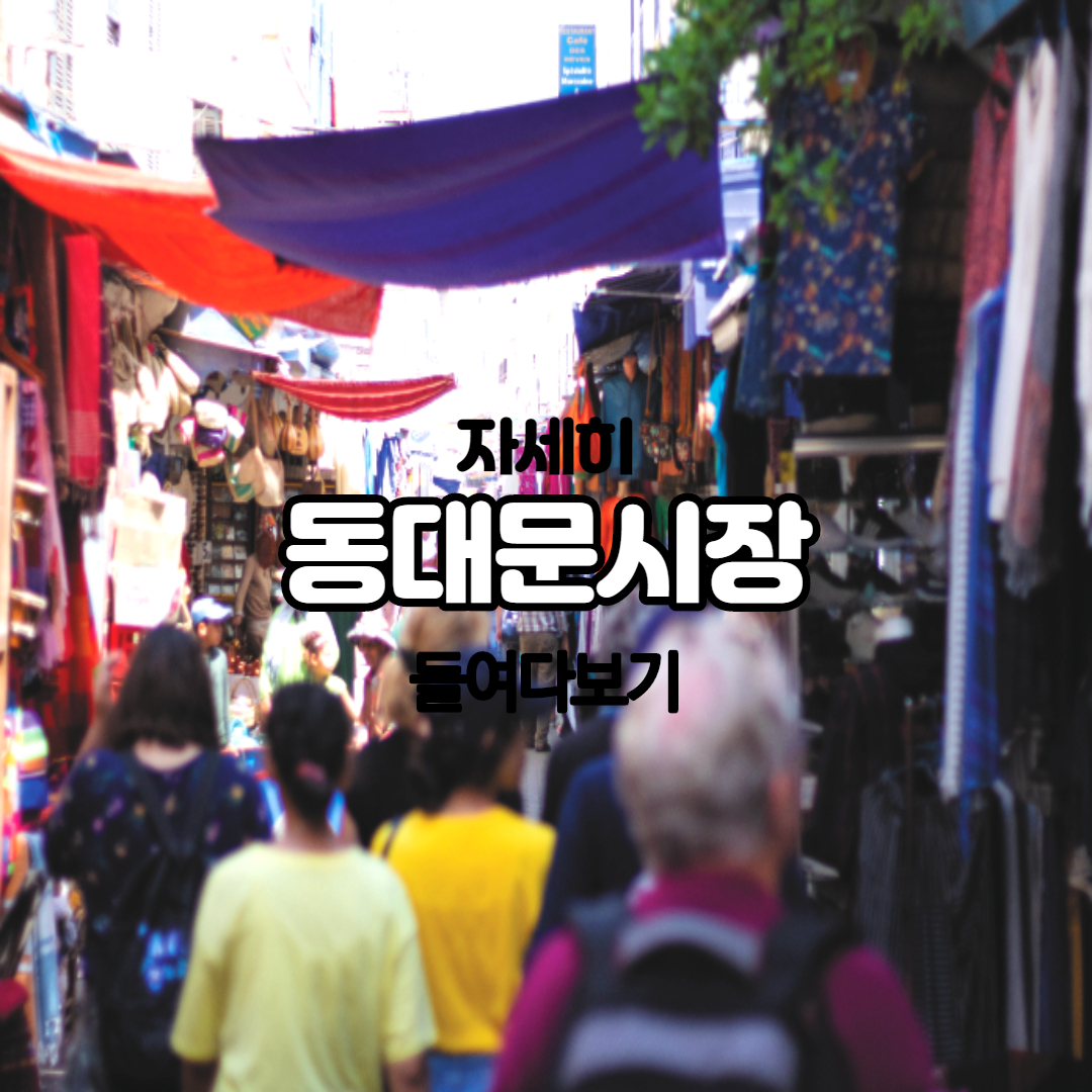 동대문시장 정복하기:동대문지도, 동대문쇼핑 동대문시장 정복하기:동대문지도, 동대문쇼핑