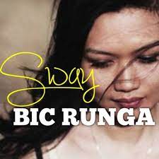  (32) 오늘의 팝송 - Sway / Big Runga [가사/해석]