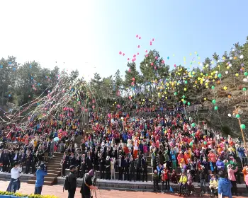 진도 신비의 바닷길 축제_6