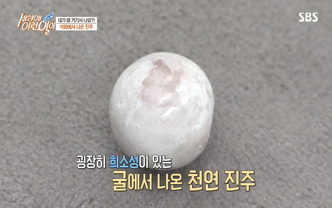 순간포착 세상에 이런일이.E1182.220532p-NEXT.mp4_20220601_171702.231.jpg