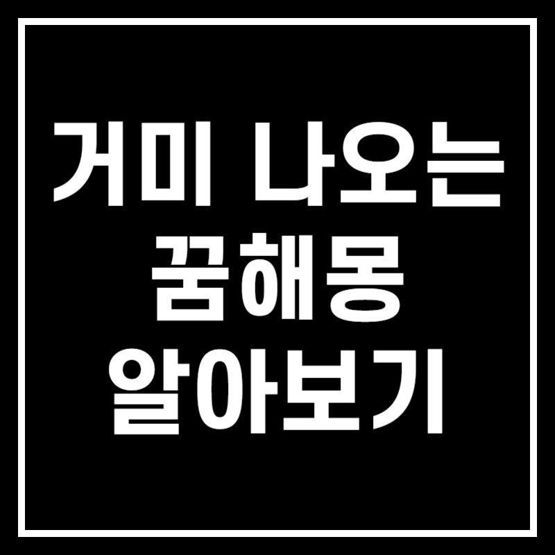 거미 나오는 꿈 해몽 썸네일