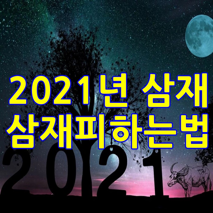  2021년 3재띠 및 삼재 피하는 법