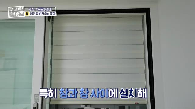 구해줘홈즈 목동 학프라마타타 학교 학원가 도보권 교육 인프라 양천구 목동 전세 최대 12억 매물 가격 및 구조 인테리어 리모델링 최종선택