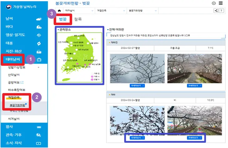 기상청-날씨누리-홈페이지-벚꽃-개화-시기-조회-화면