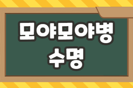모야모야병 수명