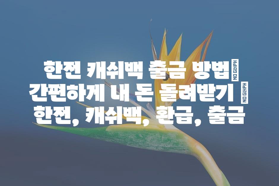 샘플 (45)