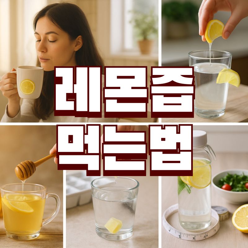 레몬즙 먹는법