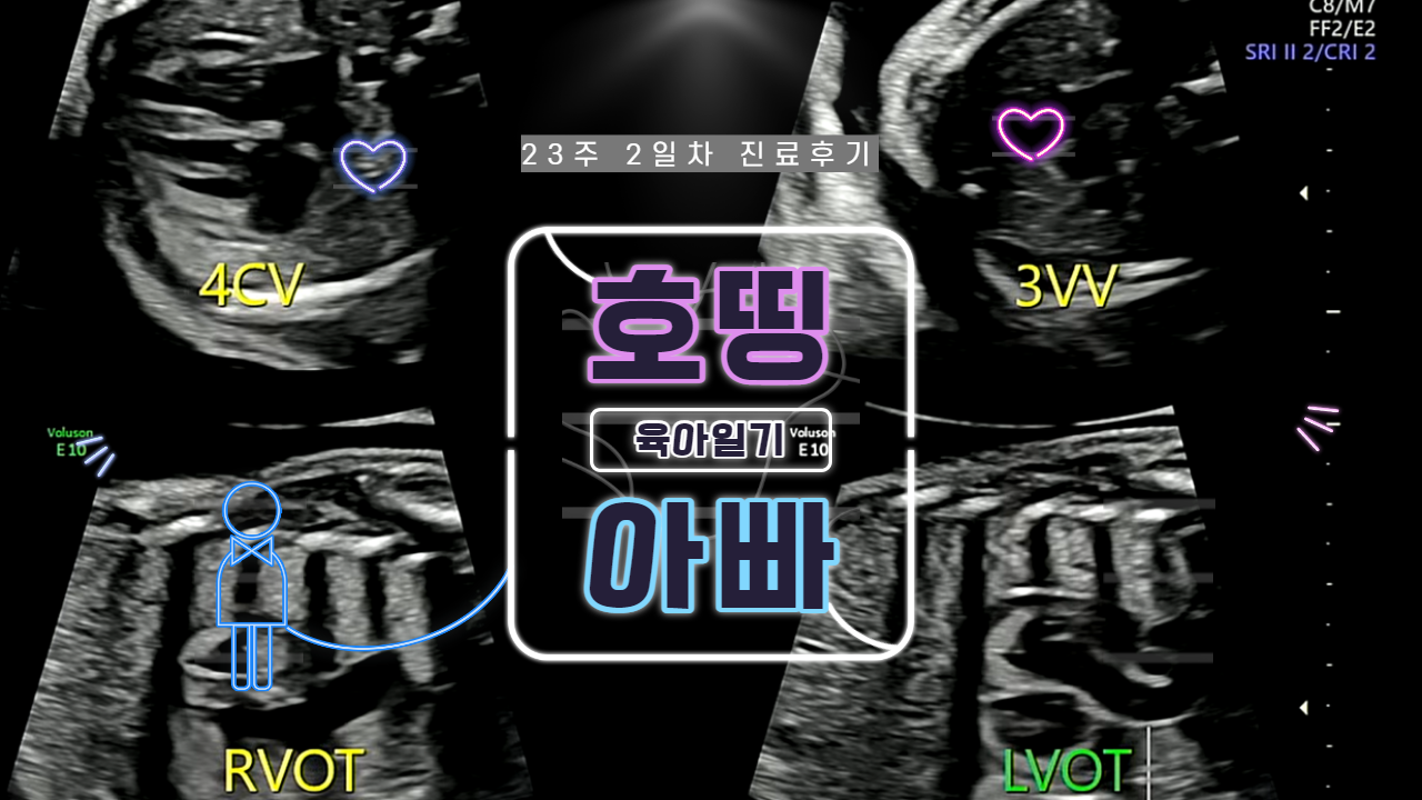  23주 2일차 병원 진료 일기 ("2차 정밀초음파")