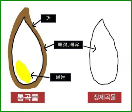 파로 곡물 효능