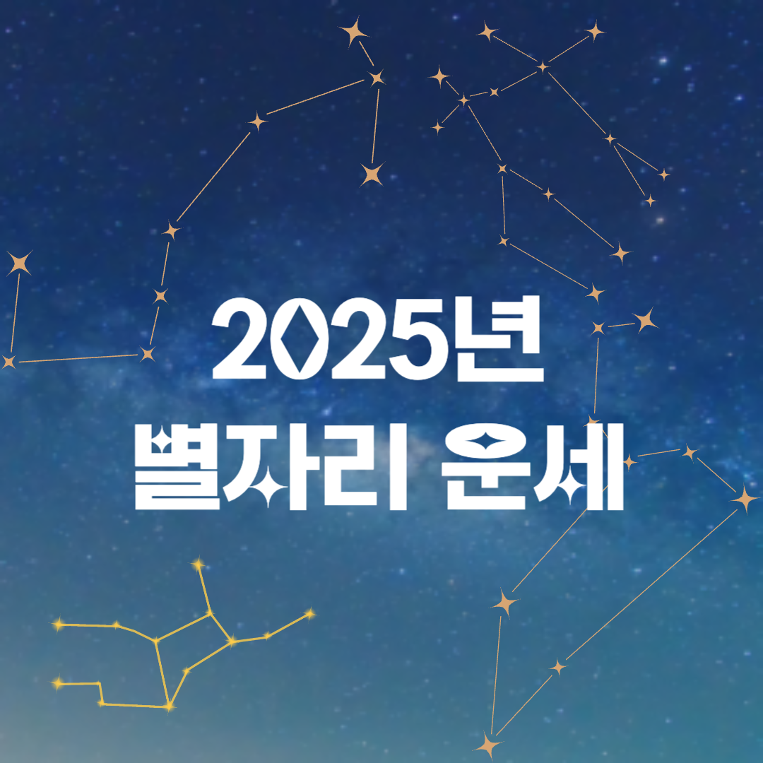 2025년 신년운세