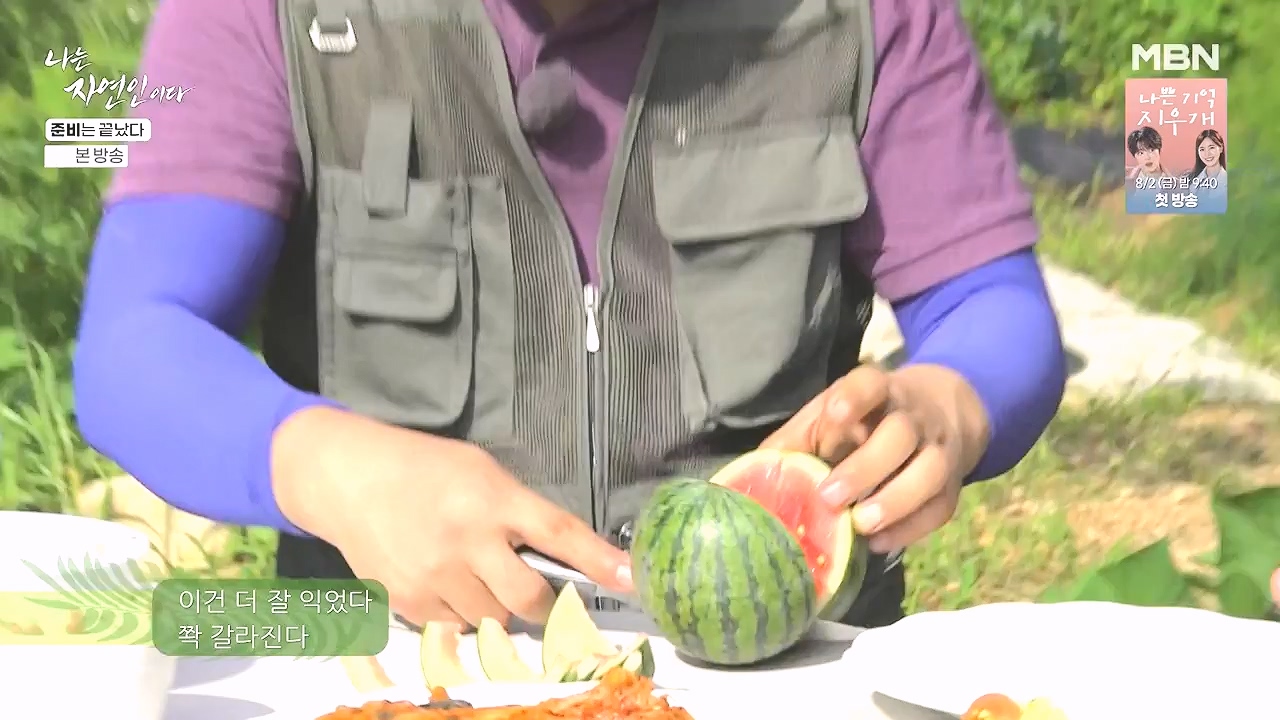 나는 자연인이다.E616.240732p-NEXT.mp4_20240801_195126.672.jpg