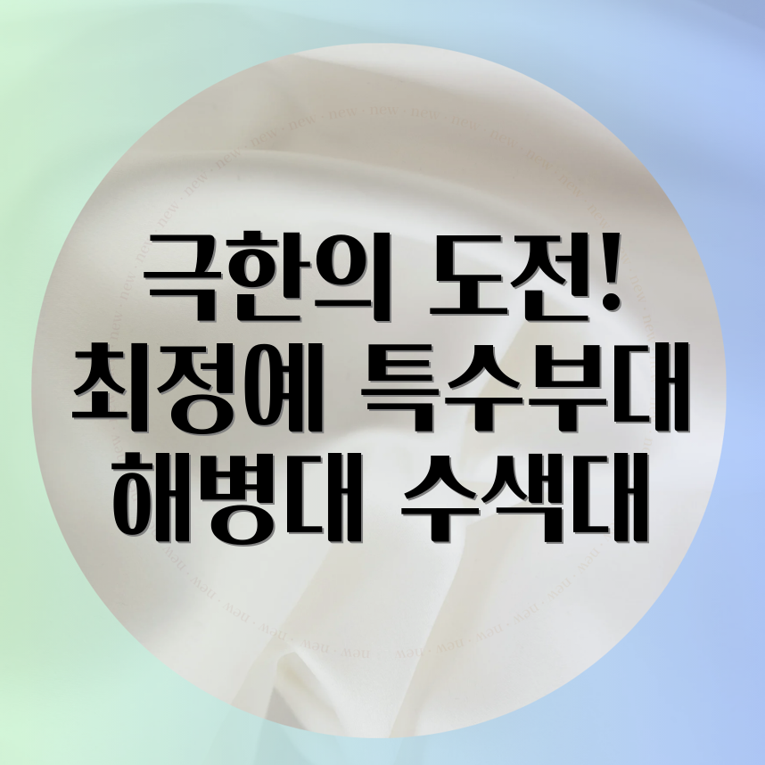 해병대 수색대