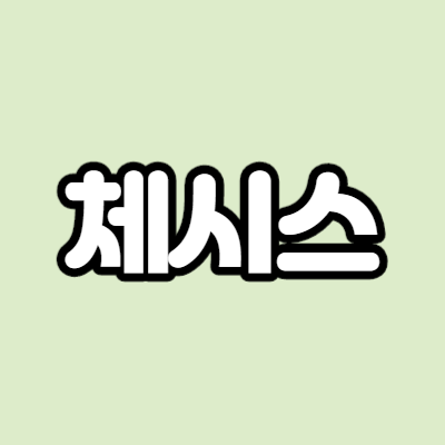  체시스 - 어떤 기업인가요? 급등이유,기업분석