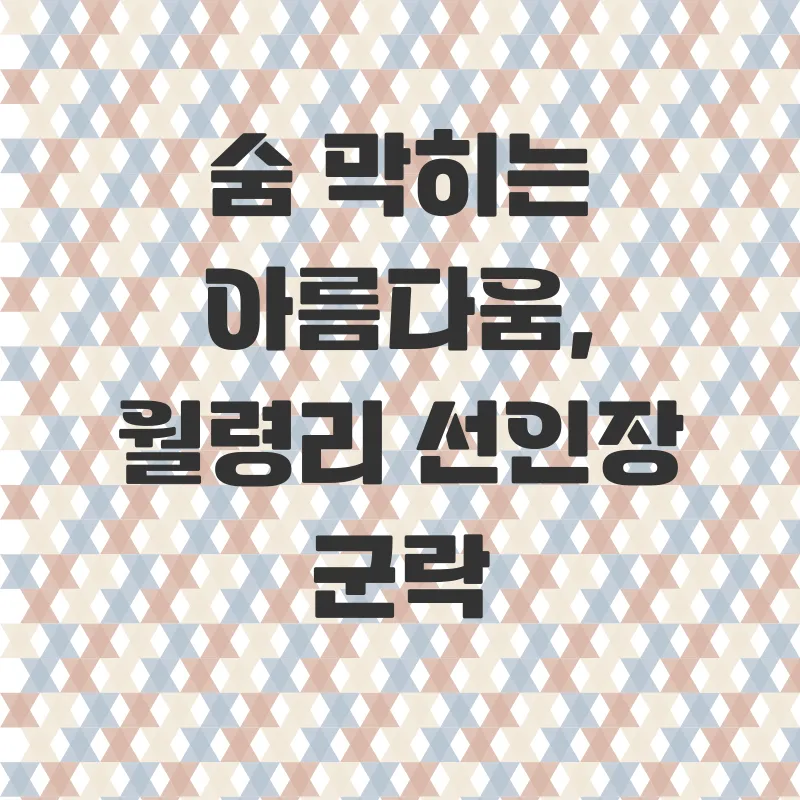 제주여행추천_1