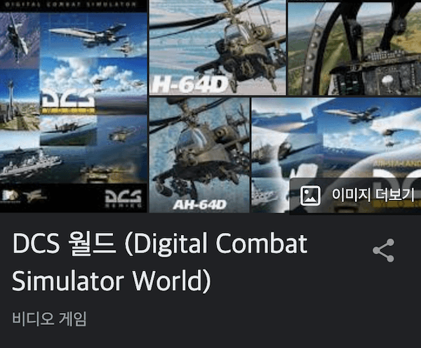 비디오게임-Digital Combat Simulator World-이미지를-보여주는-사진