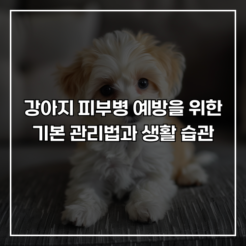 강아지 피부병 예방을 위한 기본 관리법과 생활 습관