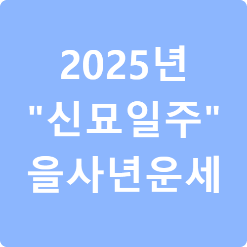 2025년 신묘일주 을사년 운세