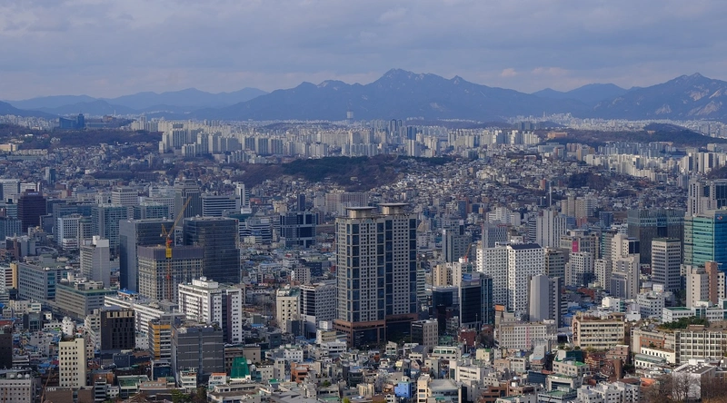 민간형과 친인척형 비교