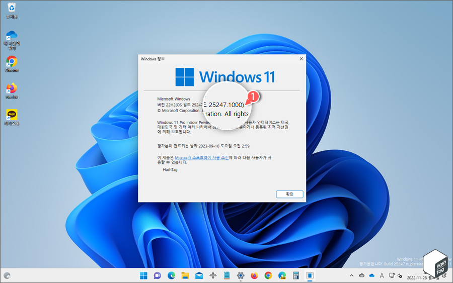 Windows 11 버전 22H2(OS 빌드 25247.1000)