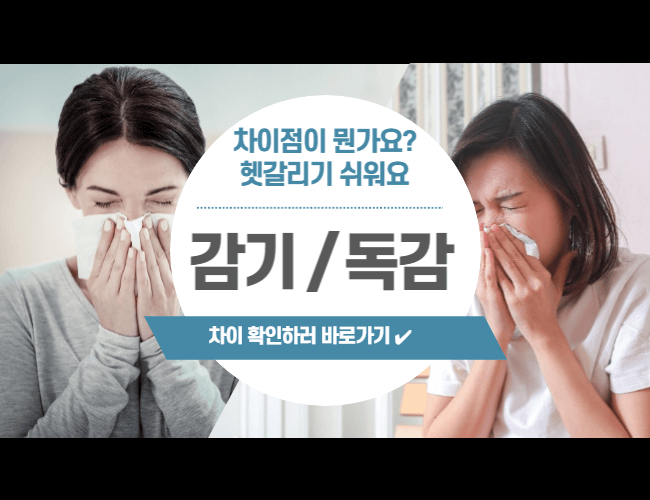 감기-독감-구별-방법