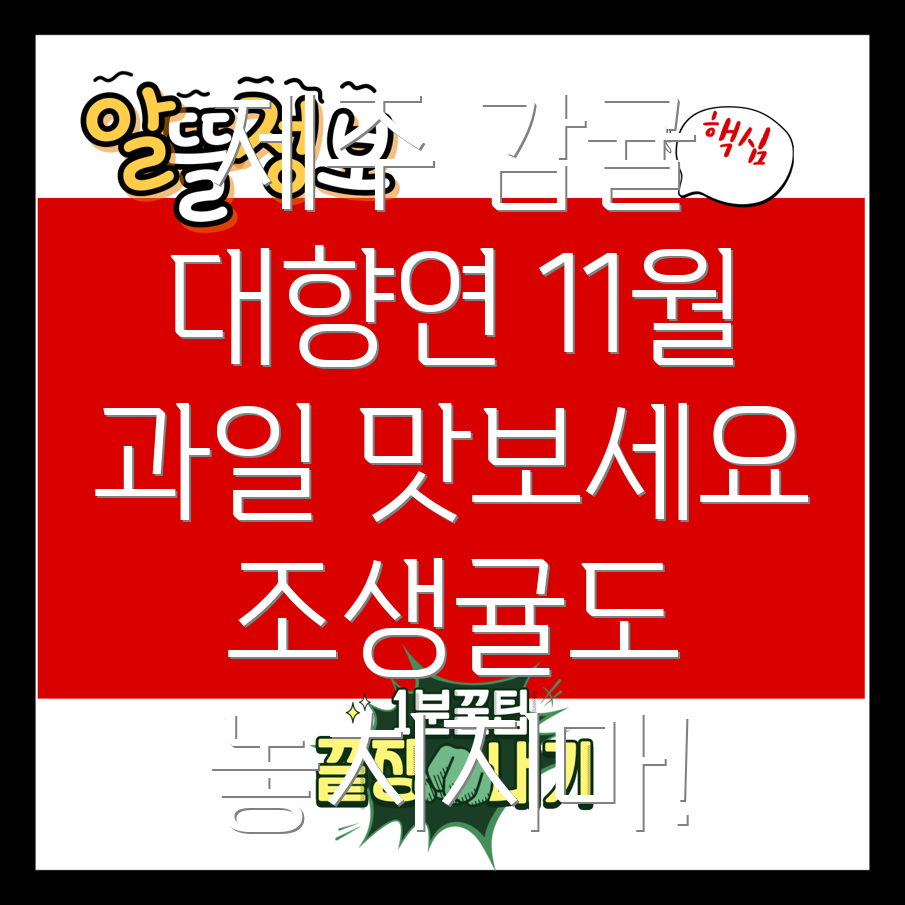 제주 감귤