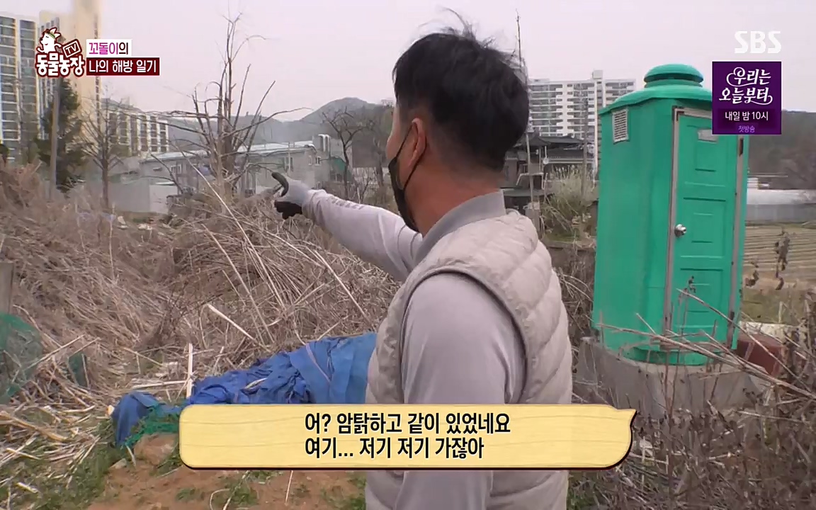 TV 동물농장.E1068.220509p-NEXT.mp4_20220508_173818.059.jpg