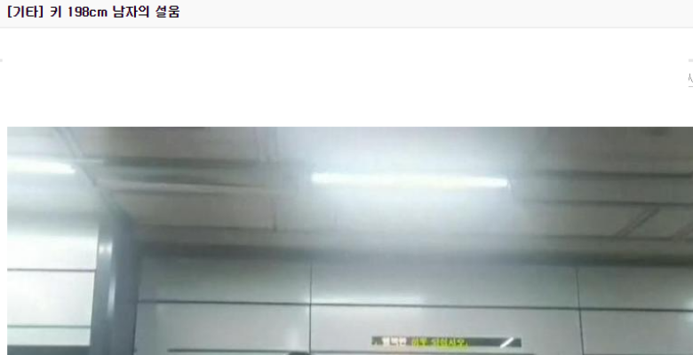  키 198cm 남자가 겪는 설움