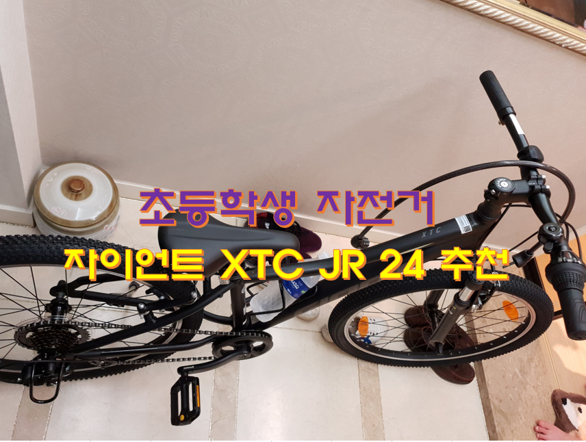  초등학생 자전거 자이언트 XTC JR 24 추천